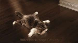 Hotel marketing: #catzen! CatZen hotel marketing