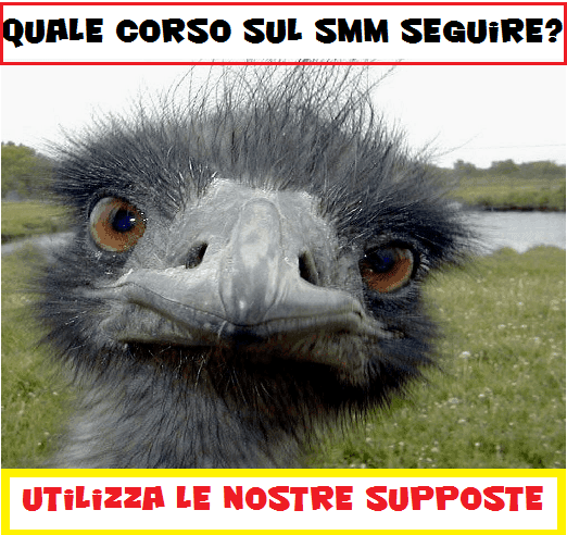 Corso Social Media Marketing: festival per venditori di ghiaccio agli Inuit Corso Social Media Marketing: festival per venditori di ghiaccio agli Inuit