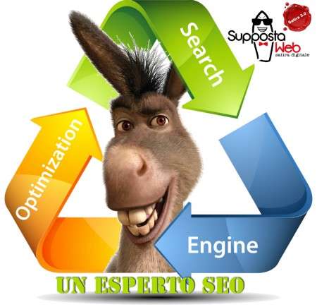 esperto SEO seo
